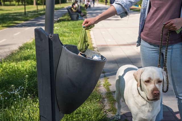 Woamn taling responsability of her dog and respecting a public area